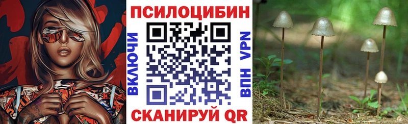 маркетплейс официальный сайт  Ливны  Галлюциногенные грибы MAGIC MUSHROOMS 
