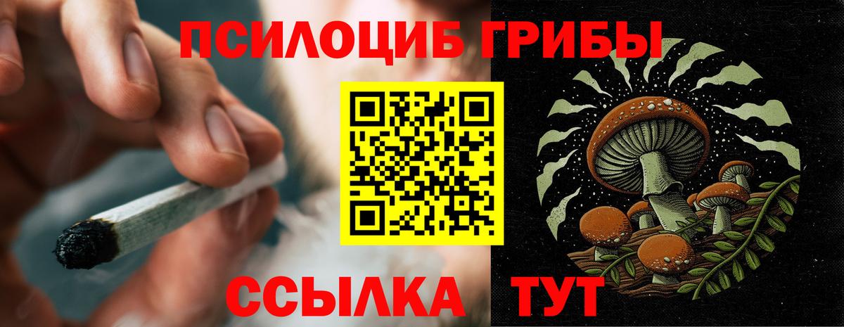 дарнет шоп  Вход с VPN  Ливны  Галлюциногенные грибы Psilocybine cubensis 