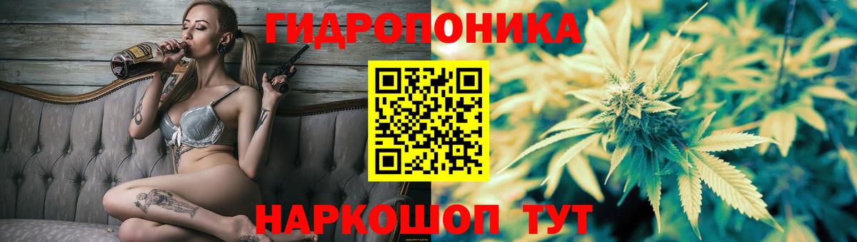 Бошки Шишки план  Шишки марихуана семена  Ливны  Вход с VPN  Бошки марихуана марихуана  Шишки марихуана VHQ 