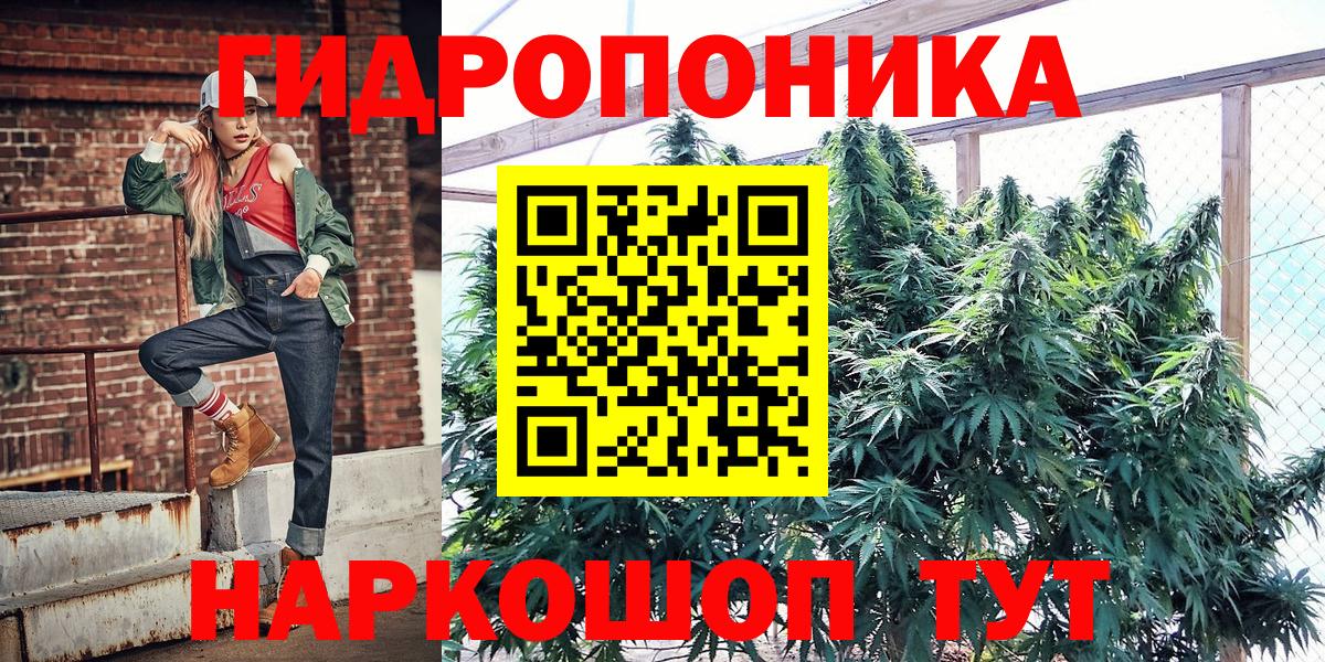 Бошки марихуана THC 21% Ливны